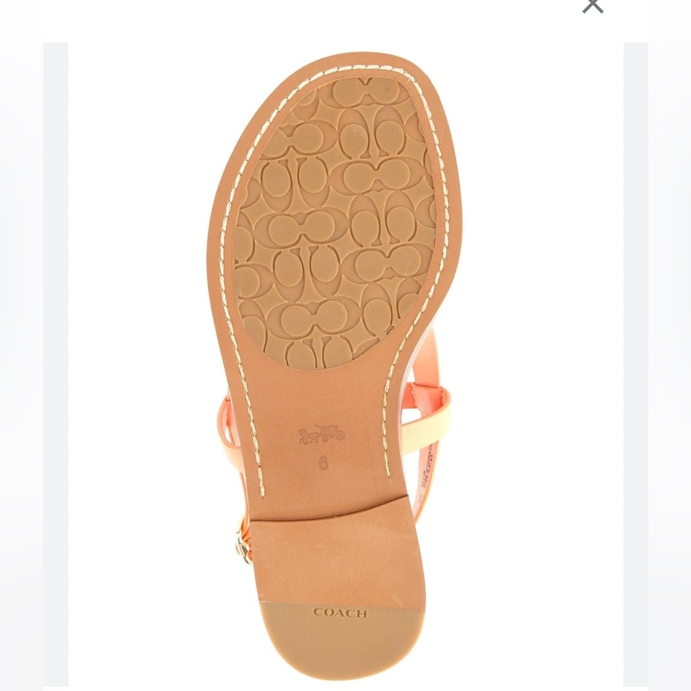 COACH
Women's Josie Strappy Flat Sandals in black - Picture 4 of 7